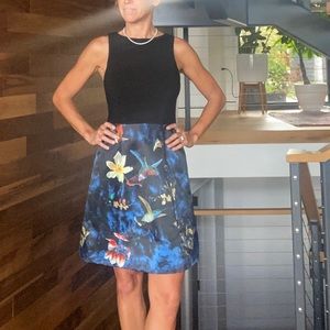 Alice & Olive Dress